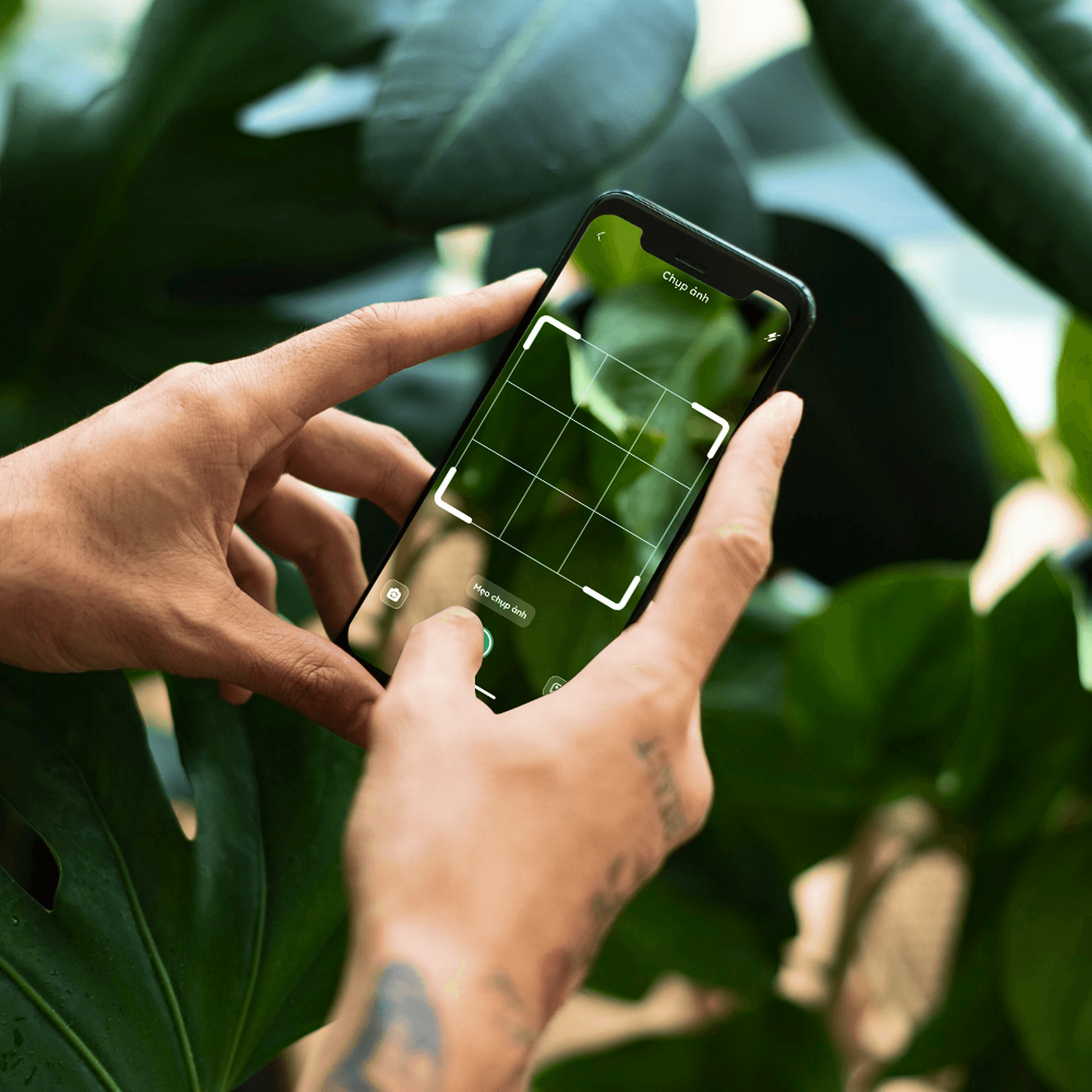 PLANT SCANNING