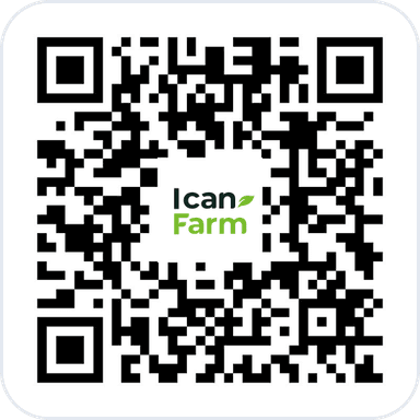 QR Code iOS
